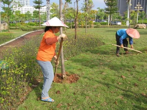 園林養(yǎng)護