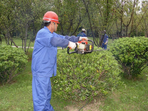 園林養(yǎng)護2