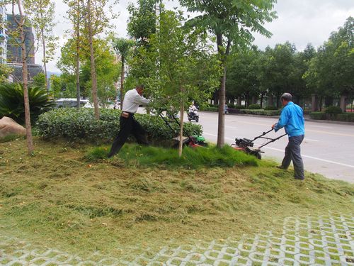 園林養(yǎng)護3