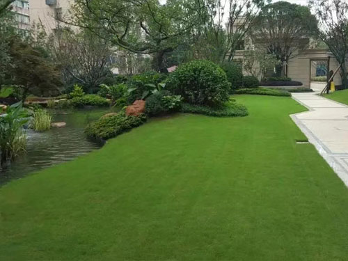 園林綠化工程施工，園林綠化養護，別墅庭院綠化