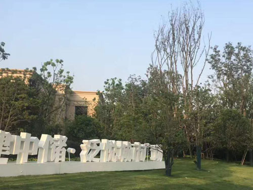 園林綠化工程施工，園林綠化養(yǎng)護(hù)，別墅庭院綠化