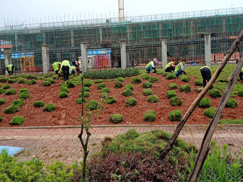 園林綠化工程施工，園林綠化養護，別墅庭院綠化