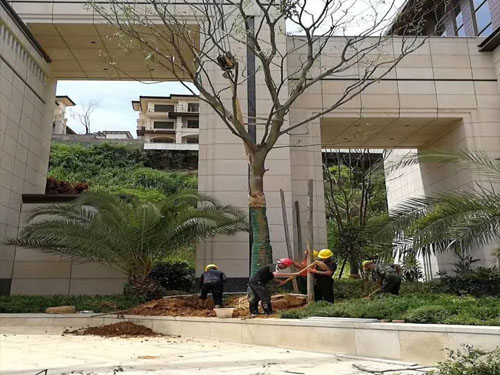 園林綠化工程施工，園林綠化養(yǎng)護(hù)，別墅庭院綠化